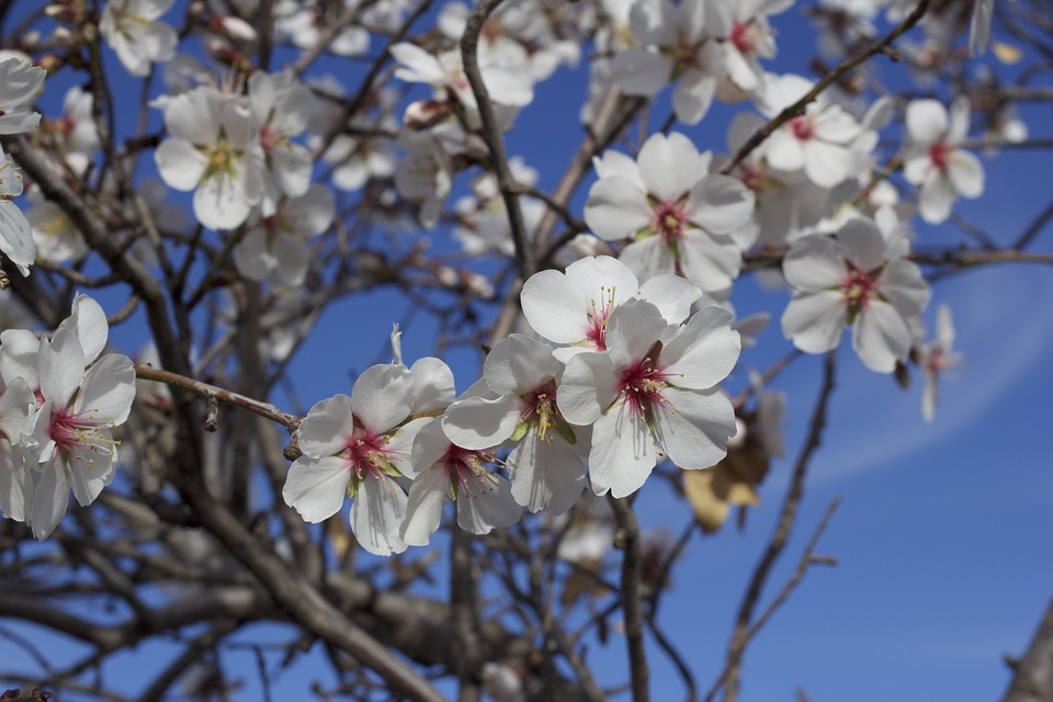Welcome spring the Greek way, wear a "Martis"